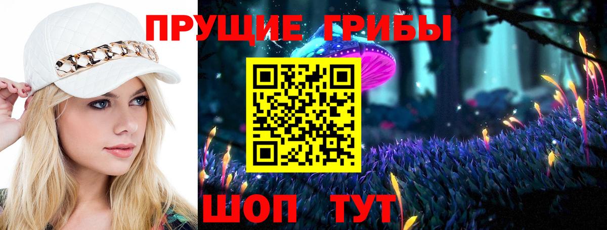 Псилоцибиновые грибы GOLDEN TEACHER Железногорск