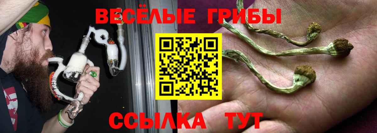 Галлюциногенные грибы Magic Shrooms  Вход с VPN  Железногорск 
